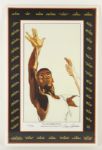 1995 Oscar Robertson Milwaukee Bucks Signed 15" x 24" Career Accomplishments Lithograph (JSA) 354/980