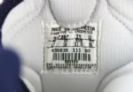1998 circa Vlade Divac Charlotte Hornets Signed Game Worn Nike Sneakers (MEARS LOA/JSA)