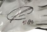 2002 Donald Driver Green Bay Packers Signed Game Worn Cleats & Gloves (MEARS LOA/JSA)