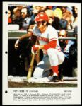 1973 French Pete Rose Cincinnati Reds 8x10 Color Premium Photo “Rare”