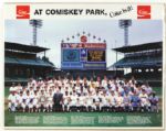 1983 Rare Coca Cola Promotional All Star Game Team Photo at Comiskey Park 19”x25” Poster (w/ Sewell, Dickey, Grimes, Mays, Gehringer, and more)