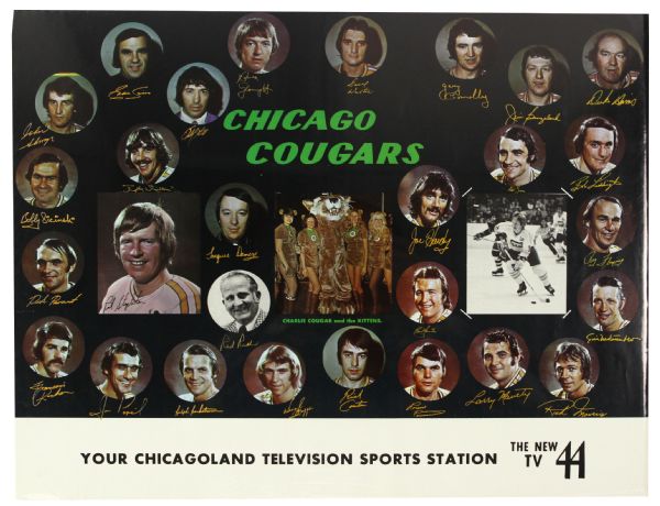 1972-75 Chicago Cougars WHA 17" x 22" Facsimile Signed Team Photo Poster
