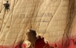 1800’s (Late) Mass. Band Uniform Tunic or Governor’s Guard? 