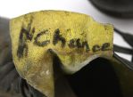1967-71 Dean Chance Game Worn Riddell Baseball Cleats (MEARS LOA)