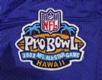 2003 Jeremy Newberry San Francisco 49ers Game Worn NFC Pro Bowl Jersey (MEARS LOA)
