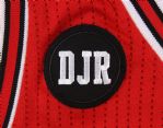 2014 Louis Amundson Chicago Bulls Game Worn Road Jersey w/ DJR Memorial Patch (MEARS LOA/Team LOA)