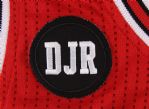 2014 Carlos Boozer Chicago Bulls Game Worn Playoff Road Jersey w/ DJR Memorial Patch (MEARS LOA/Team LOA)