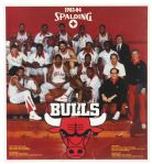 1983-84 Chicago Bulls 17" x 20" Spalding Team Poster 