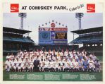 1983 MLB All Star Game 50th Anniversary Old Timers Reunion 18" x 24" Comiskey Park Poster
