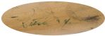 2000-05 circa Rafael Palmeiro Rangers/Orioles XBat Professional Model Game Used Bat (MEARS LOA/Celebz Direct COA)
