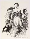 1971 Tarzan 11 x 14 Illustration by Doug Wildey
