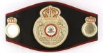 1990s Mike Tyson World Heavyweight Champion Signed WBA Title Belt (PSA/DNA)