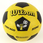 1970s Chicago Sting North American Soccer League Multi Signed Soccer Ball w/ 13 Signatures 