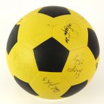 1970's Chicago Sting North American Soccer League Multi Signed Soccer Ball w/ 13 Signatures 