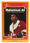 1976 The Picture Life of Muhammad Ali 10.5" x 16" Promotional Poster
