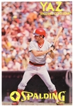 1970s Carl Yastrzemski Boston Red Sox 22.5" x 33.5" Spalding Consultant Broadside