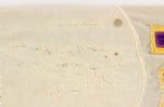 1964-65 Carl Eller Minnesota Vikings Game Worn Road Jersey (MEARS A9) “Gift From Bud Grant”