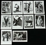 1960s Primates 2.5" x 3.5" Monkey Jungle Photo Collection - Lot of 10