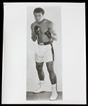 1970s Muhammad Ali World Heavyweight Champion 8" x 10" Photo 