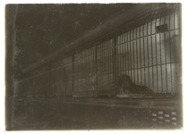 1920's-30's Monuments & Zoo 5 x 7 Glass Plate Negatives - Lot of 4 