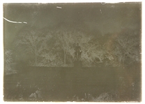 1920's-30's Monuments & Zoo 5 x 7 Glass Plate Negatives - Lot of 4 