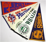 1972-1978 WHA Hockey 29” Pennant collection (12)
