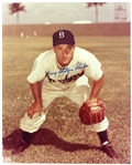 1948-55 George Shuba Brooklyn Dodgers Signed 8" x 10" Photo (JSA)