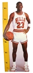 Cal Ripken Jr, Michael Jordan (3), and Vince Carter Stand-Up Display Collection (5 Total)