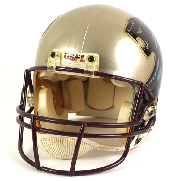 1983-84 Michigan Panthers USFL Football Helmet 