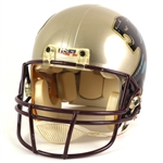 1983-84 Michigan Panthers USFL Football Helmet 