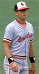 1992 Cal Ripken Jr. Baltimore Orioles Game Worn Wristbands (MEARS LOA) (From the Brewers Equipment Manager Collection)