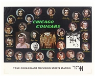 1972-75 Chicago Cougars WHA 17" x 22" Facsimile Signed Team Photo Poster