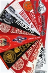 1970s to Present Assorted Baseball, Basketball, College and Football Pennants (75+)
