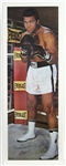 1973 Muhammad Ali 12"x 36" Poster 