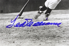 1990's Ted Williams Boston Red Sox Signed 16 x 20 Photo (JSA)