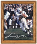 1990's Johnny Unitas Ken Stabler Steve Young Signed Display/Framed Photo Collection - Lot of 3