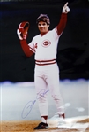 2000s Pete Rose Cincinnati Reds Signed 30" x 40" Photo (JSA)