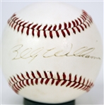 1970's-90's Billy Williams Chicago Cubs Store Model Rawlings Mitt & Signed OAL Brown Baseball (JSA) 