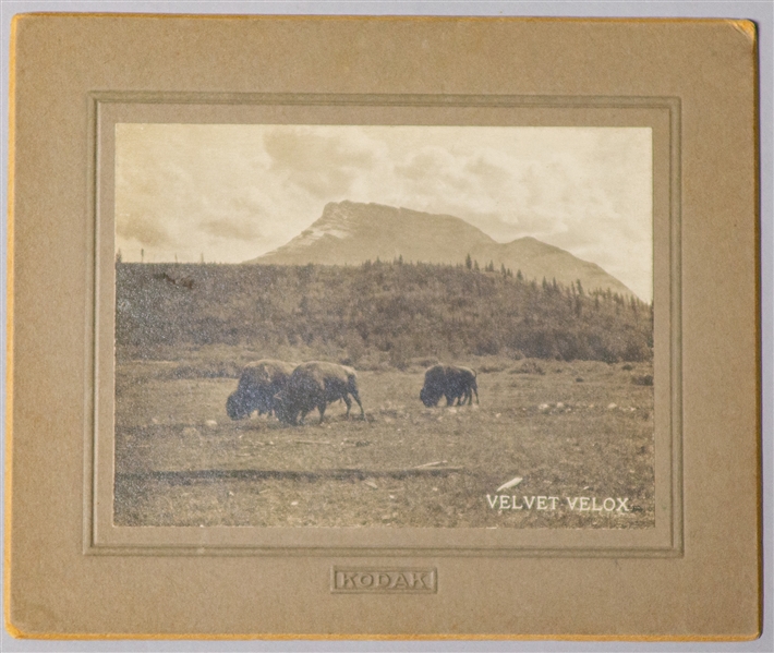 Eastman Kodak Velvet Velox 5" x 5.5" Mounted Photo