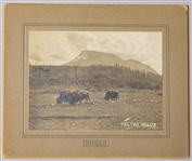 Eastman Kodak Velvet Velox 5" x 5.5" Mounted Photo