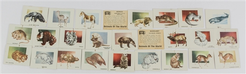 1951 Topps Animals of the World (R714-1) Trading Cards (Lot of 26)