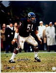 1965-1973 Dick Butkus Chicago Bears Signed 16x20 Photo (JSA)