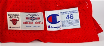 1994-95 Michael Jordan Chicago Bulls Signed Pro Cut #45 Road Jersey (MEARS A5/Upper Deck Authentication/JSA)
