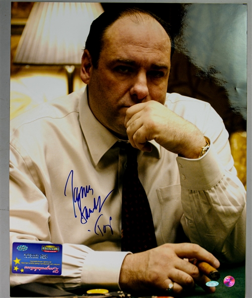 2000s James Gandolfini The Sopranos Signed 16" x 20" Photo (JSA/Steiner)