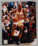 1995-98 Dennis Rodman Chicago Bulls Signed 8" x 10" Photo (JSA)