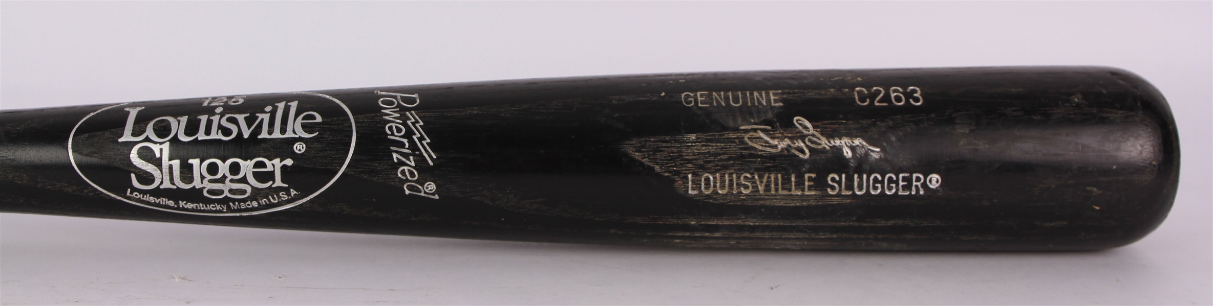 1988-89 Tony Gwynn San Diego Padres Louisville Slugger Professional Model Game Used Bat (MEARS A10) NL Batting Crown Seasons