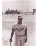 1964 Topps Giants Baseball Card Set w/ 1954-55 Era Milwaukee County Stadium & Comiskey Park 8x10 Player Photos 