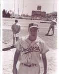1964 Topps Giants Baseball Card Set w/ 1954-55 Era Milwaukee County Stadium & Comiskey Park 8x10 Player Photos 