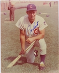 2000s Ron Santo Chicago Cubs Signed 16" x 20" Photo (JSA)