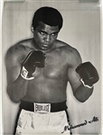 1960s Muhammad Ali 21" x 29" Poster